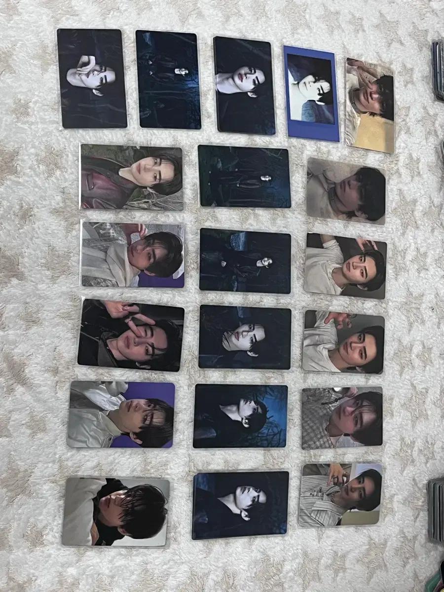 엔하이픈 포토카드 일괄