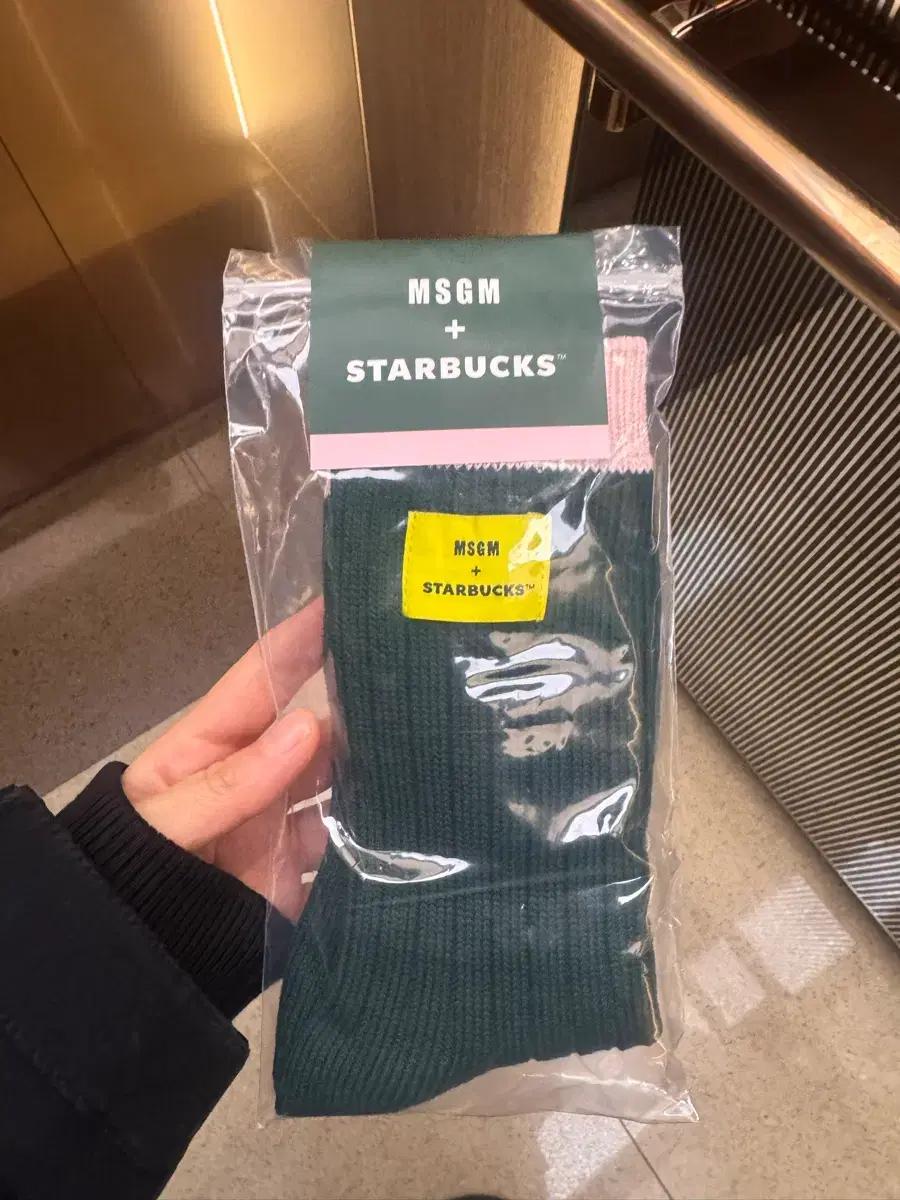 MSGM x 스타벅스 콜라보 삭스 그린