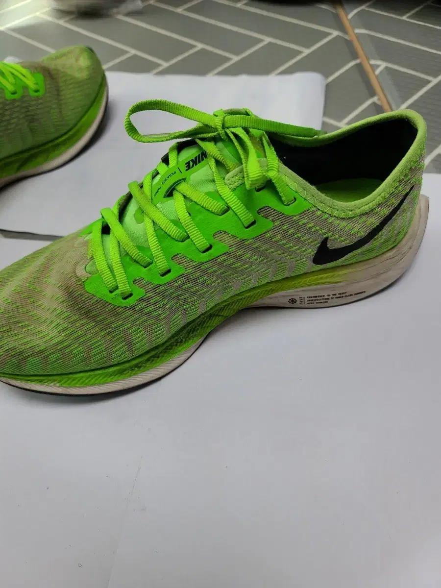 7))나이키 줌X 페가수스 터보 255예상