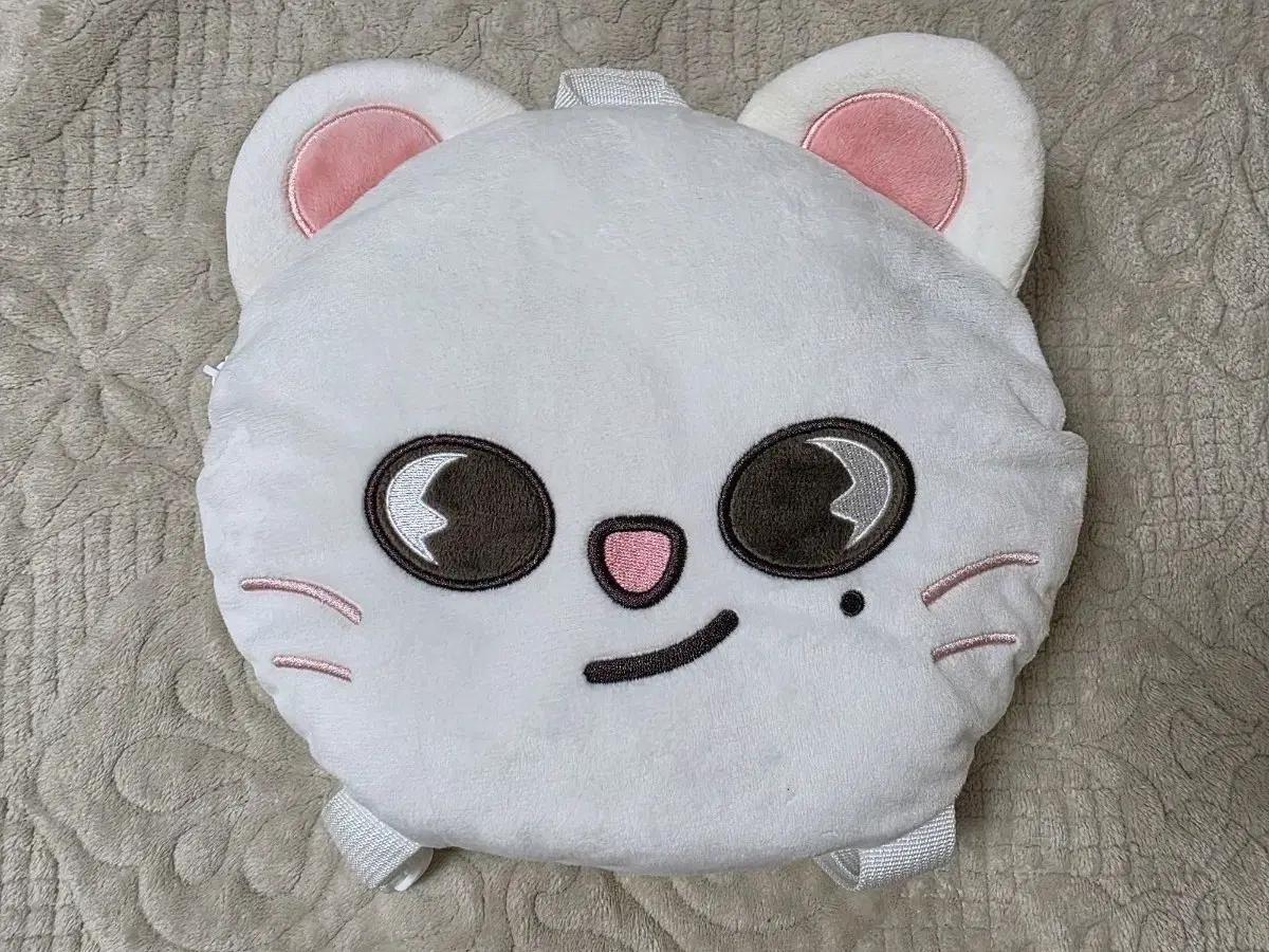 스트레이키즈 스키즈 현진 지니렛 가방 일본 엠디