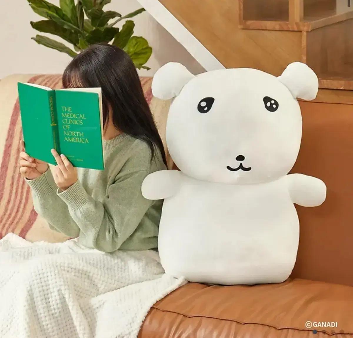 가나디 나안아 바디필로우 구해요