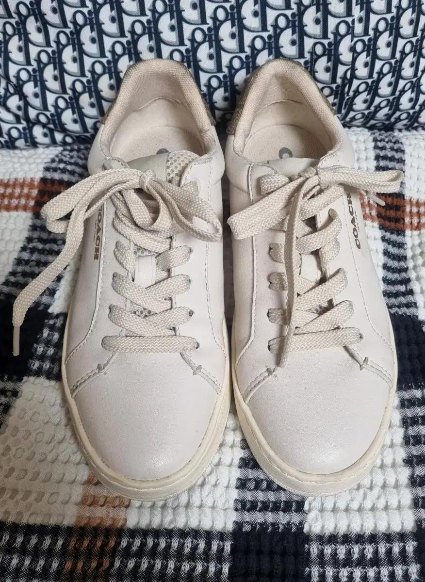 정품) 코치  가죽  여성 스니커즈