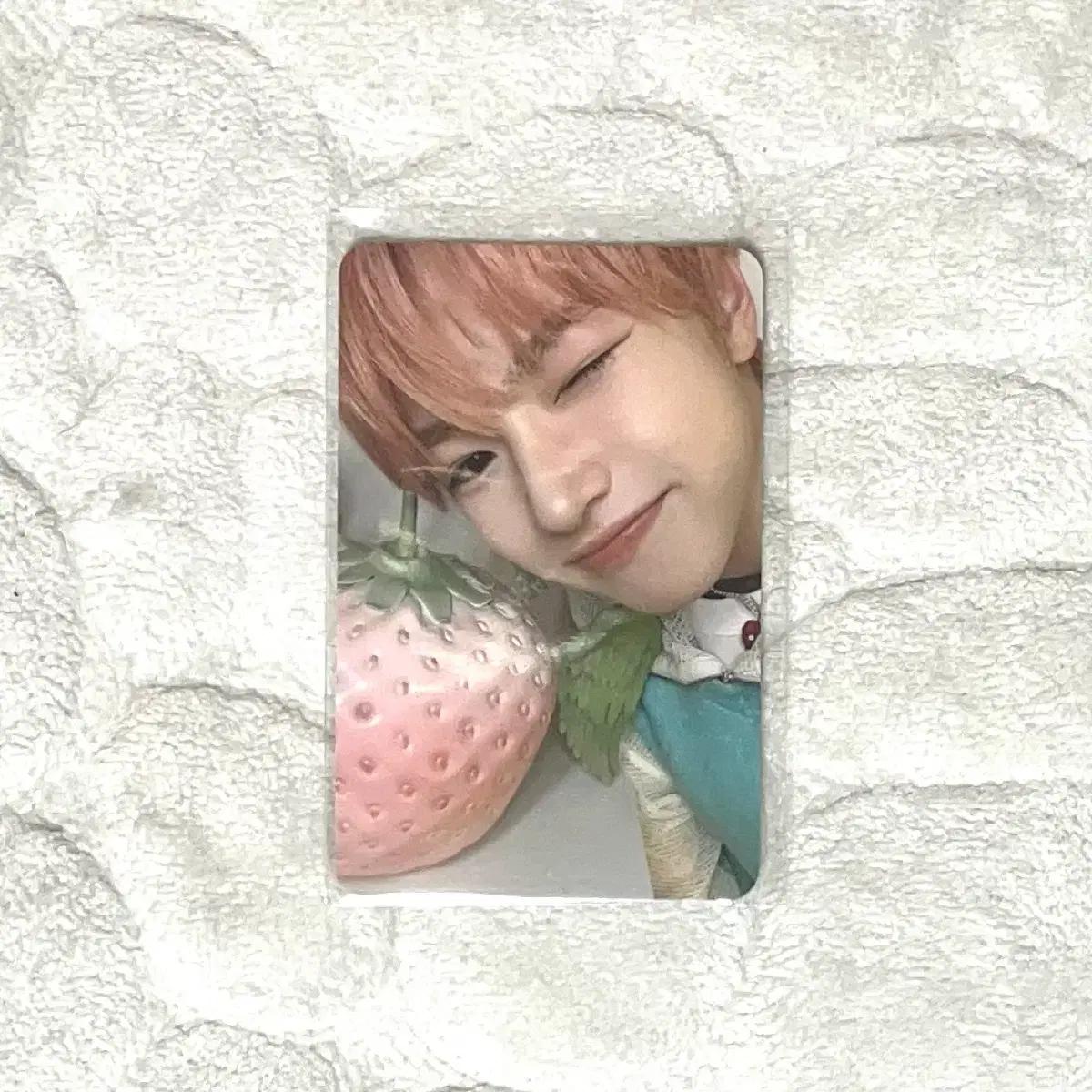 엔시티위시 컬러 팝업 향수 프래그넌스 사쿠야 포카