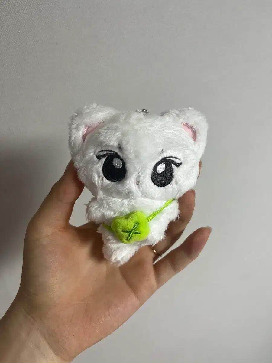 엔하이픈 양정원 정냥이 인형 판매