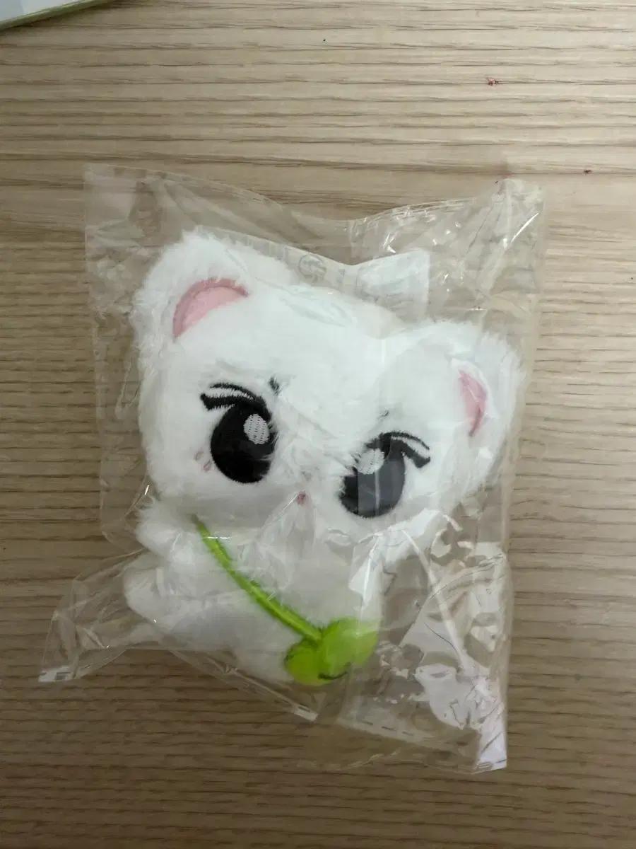 정냥이니 양도 엔하이픈 정원 양정원