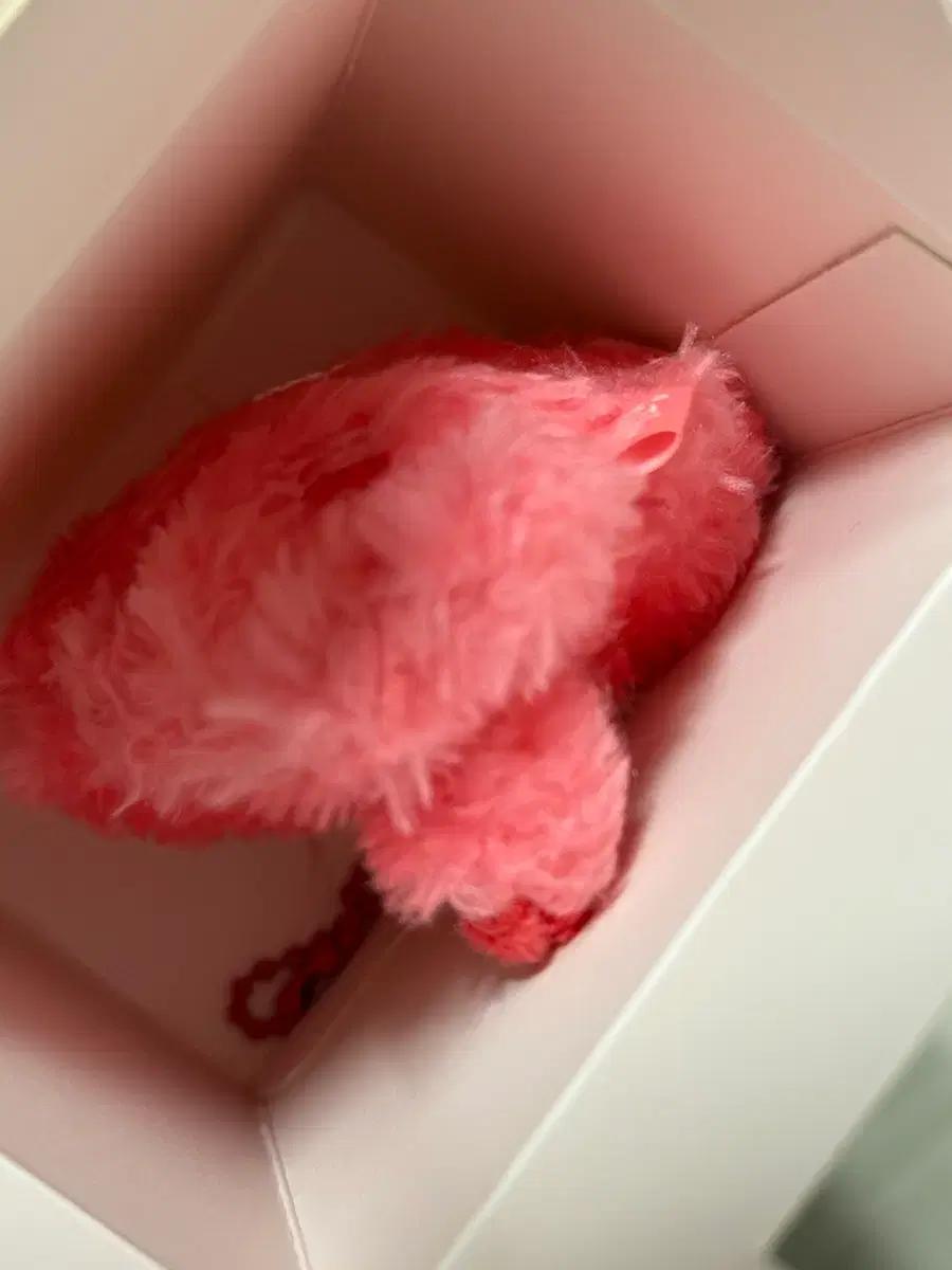 엔시티 위시 컬러 위시돌 레드 빨강 시오닝