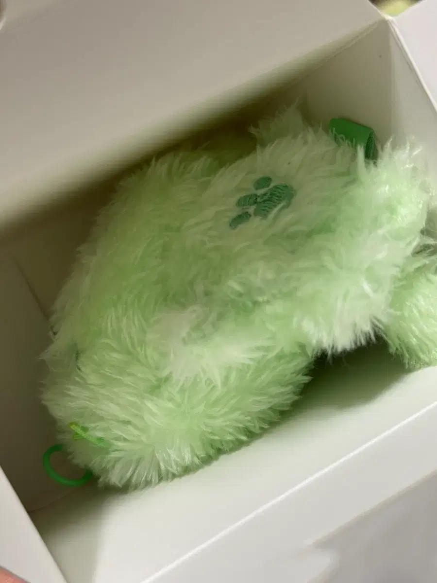 엔시티 위시 컬러 위시돌 초록 쿠리