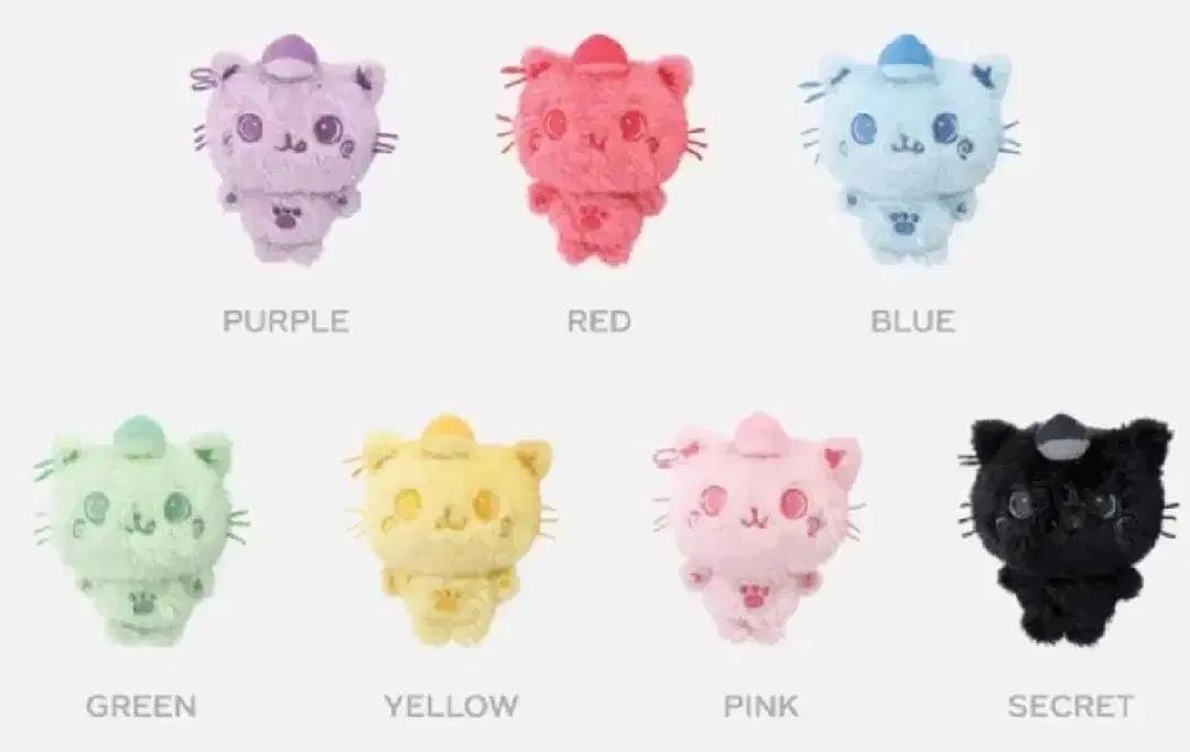 엔시티위시 위부부 위시돌 컬러돌 쿠리 교환