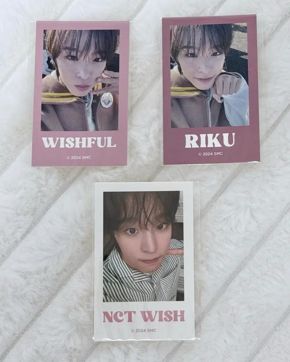 엔시티 위시 온라인 쿠지 복권 리쿠 스티커 양도 판매