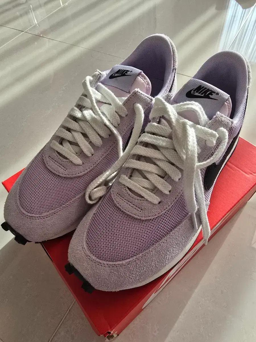 데이브레이크 라벤더 260