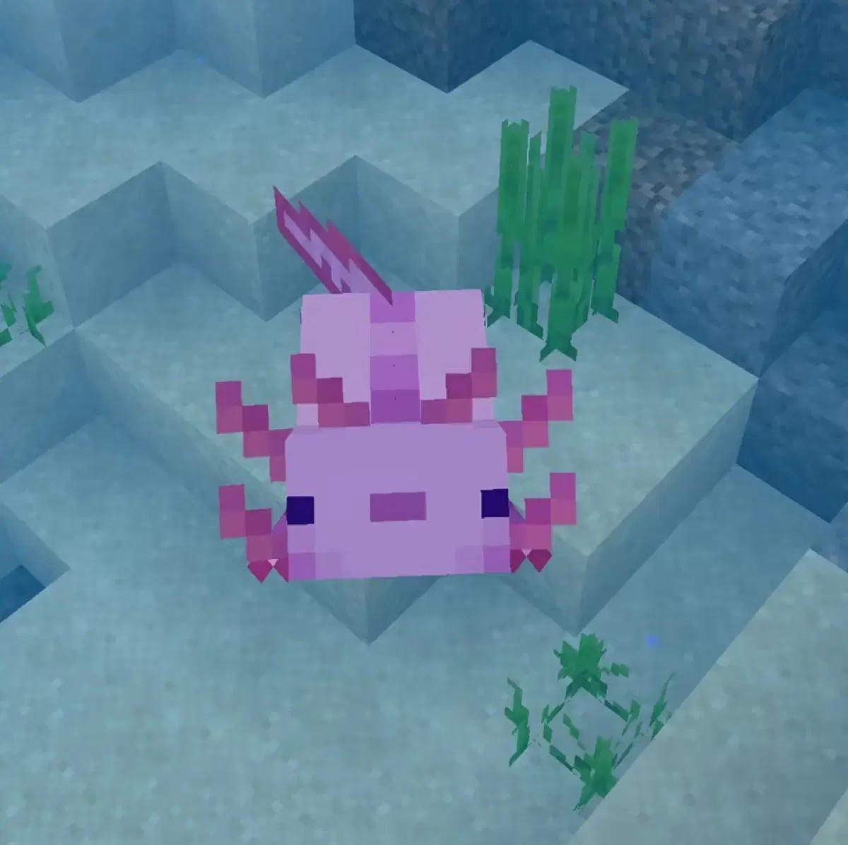 투표 해드립니다 보넥도아이브투바투라이즈플레이브에스파올데프데이식스크래비티