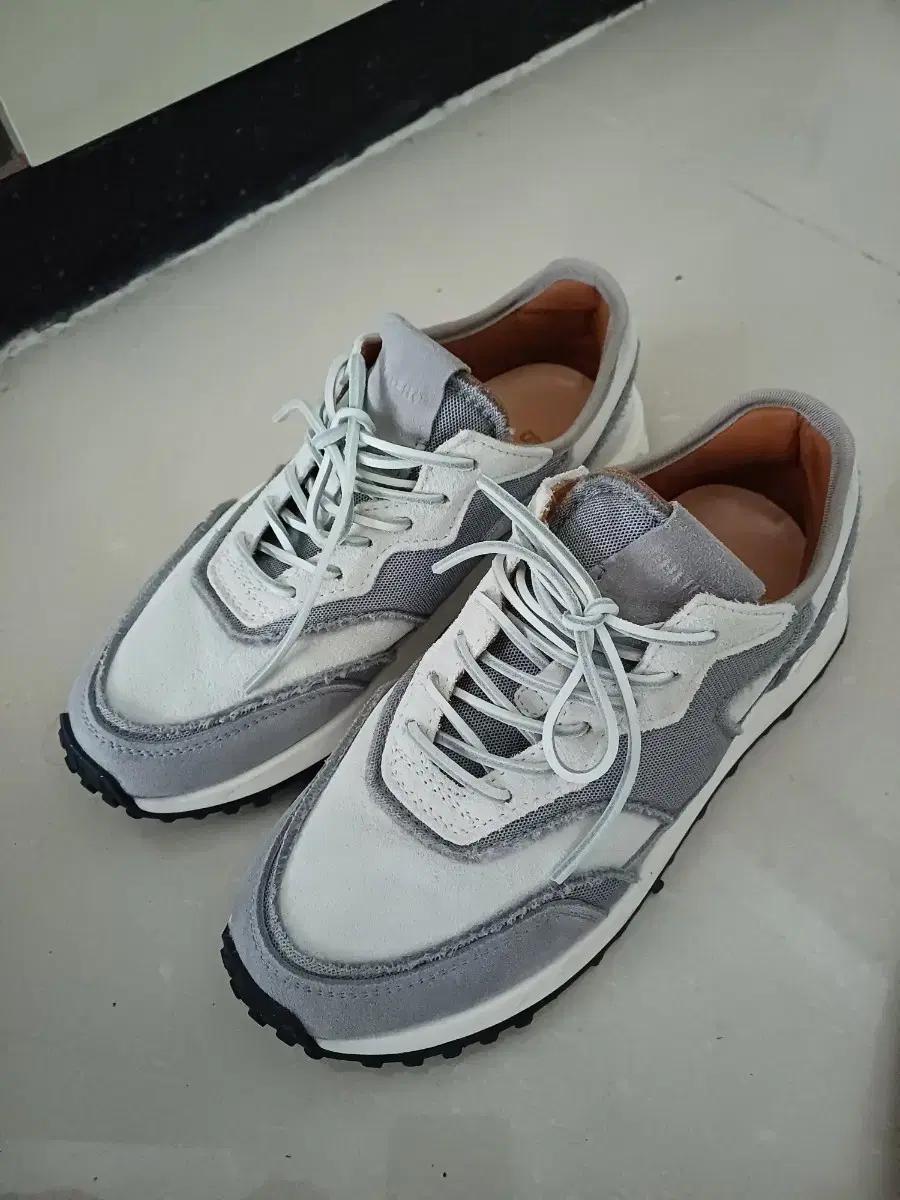 부테로 벤투라 그레이 39