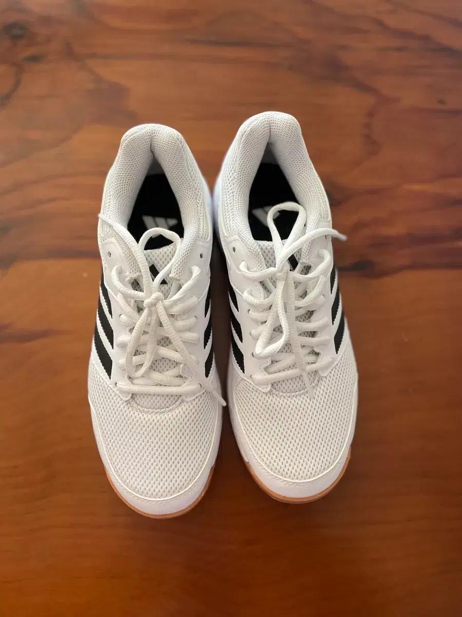 아디다스 스쿼시화 240mm 팔아요