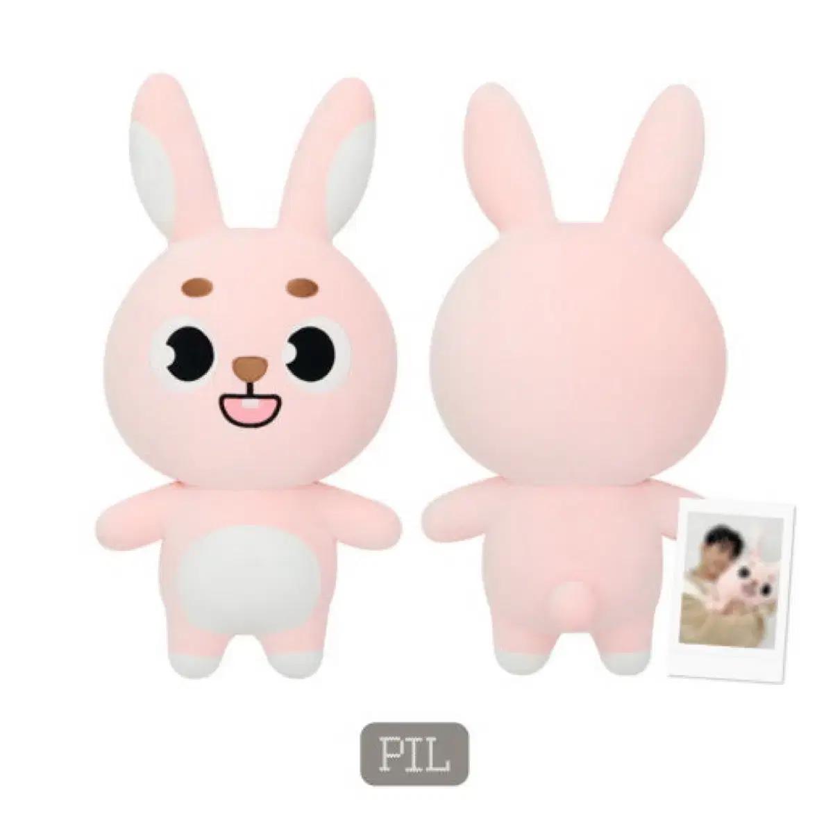 데이식스 day6 원필 24 클콘 자이언트 데니멀즈 필끼 양도