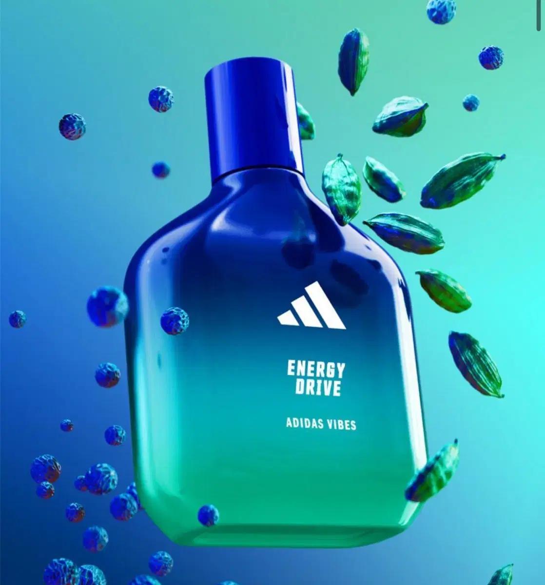 아디다스 EDP 에너지드라이브 50ml