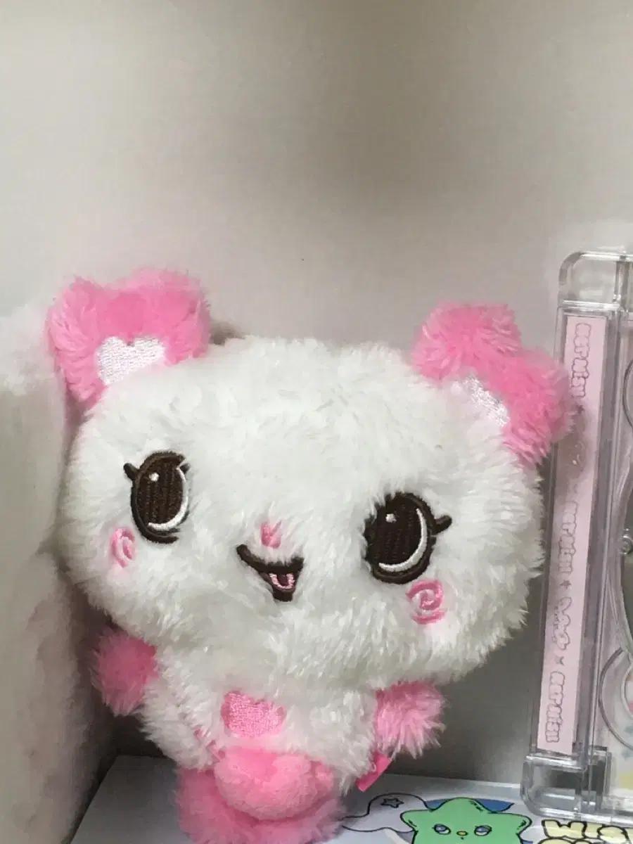 엔시티위시 사쿠야 팡이