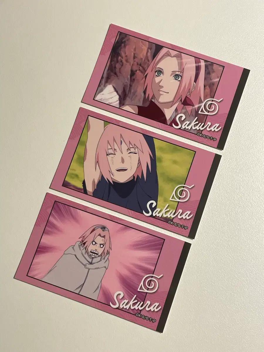 반다이남코 나루토 질풍전 메모리 컷 스티커 - 하루노 사쿠라