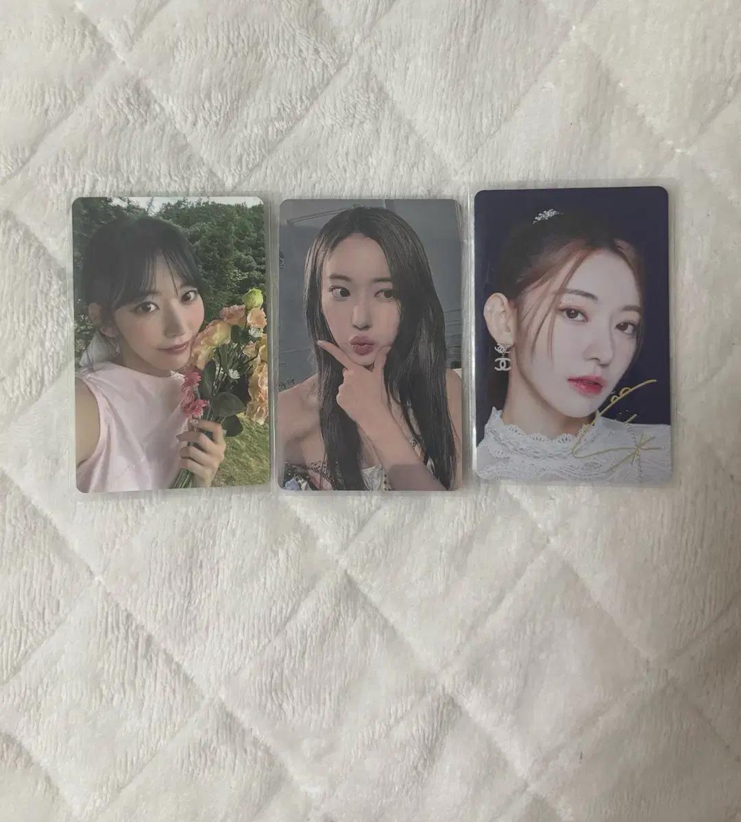 르세라핌 사쿠라 포카 위버스 디아이콘 일괄