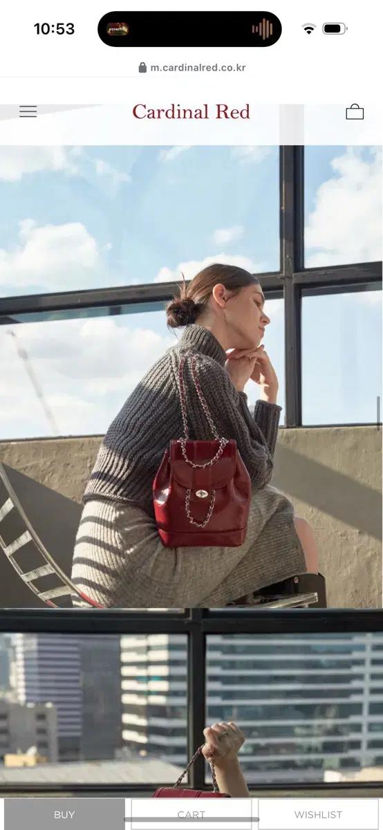 Cardinal Red 체인 백팩 버건디