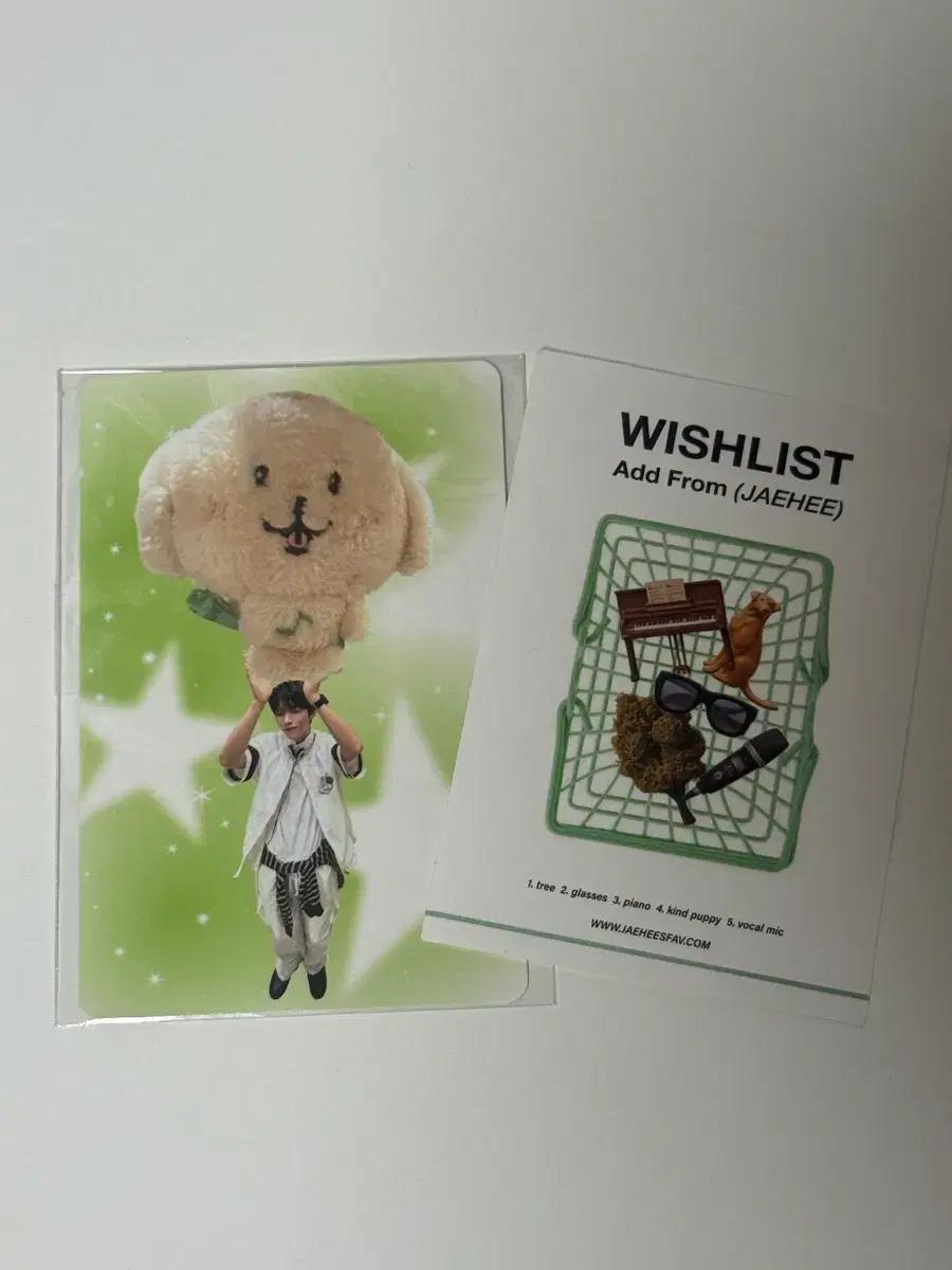 엔시티 위시 컬러 팝업 입장 포카 재희