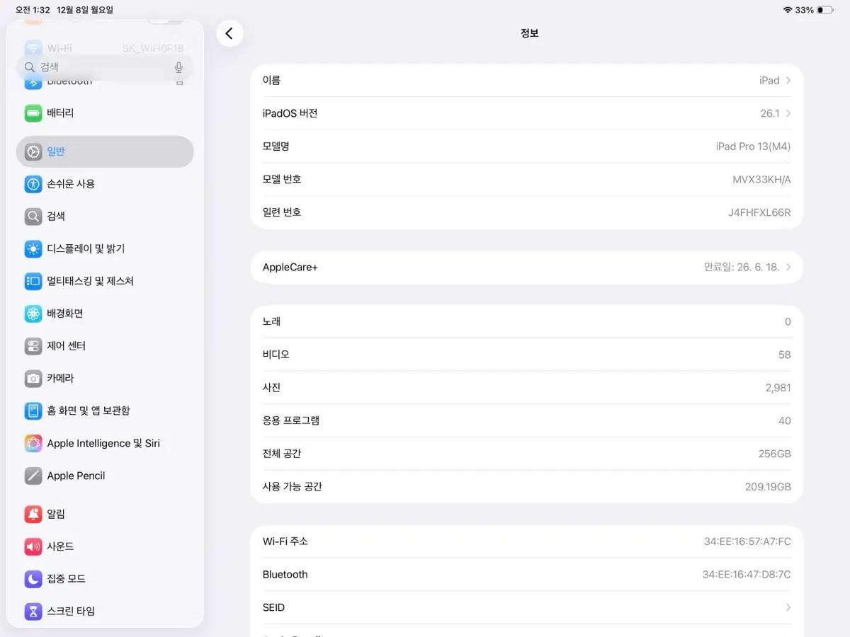 아이패드 프로 13 M4 256GB 실버(애케플)+ 애플펜슬 프로