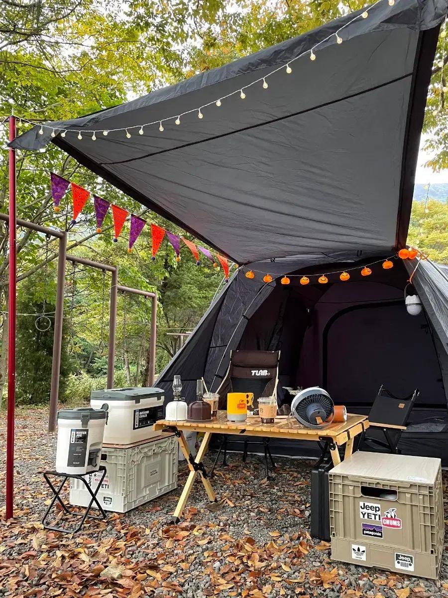 제드 아그네스 데크돔3