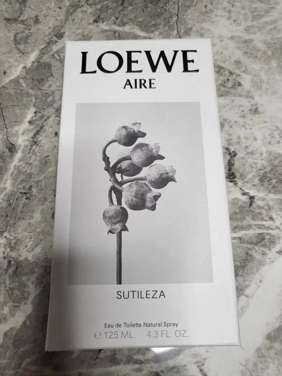 LOEWE 로에베 케이스