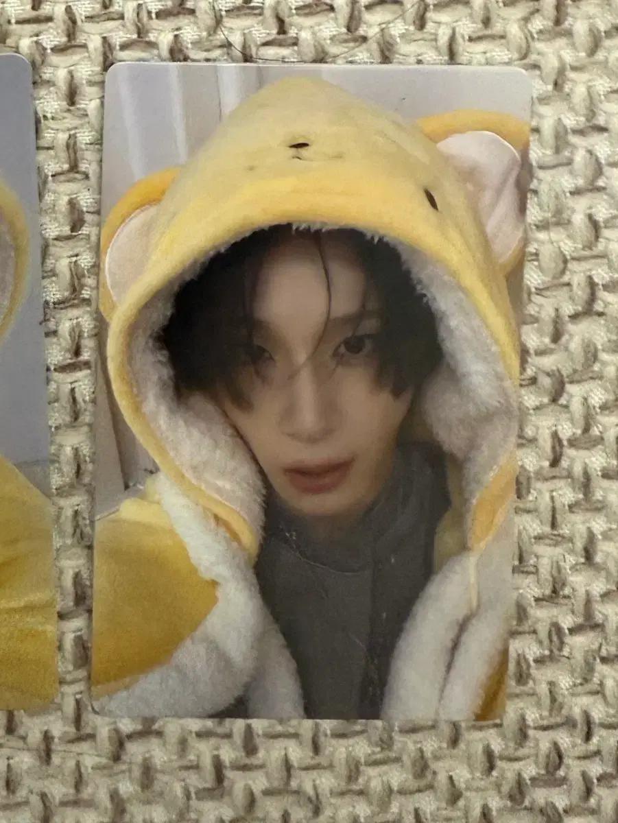 엑스러브 하루 XLOV UNLOVE 미공포