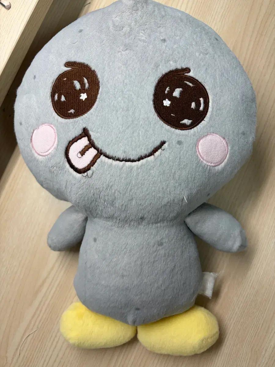 라이즈 은석 송용돌이 40cm