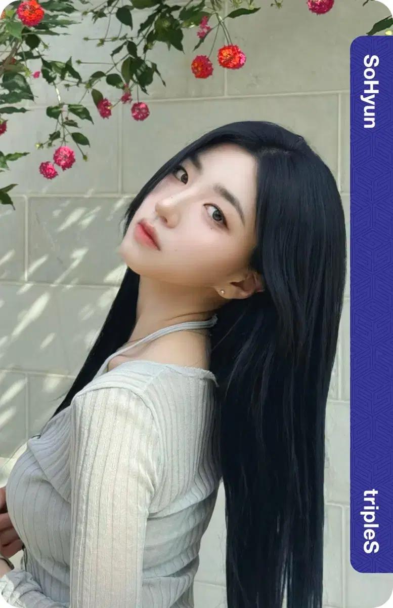 트리플에스 박소현 옵젝 옵젝트 양도