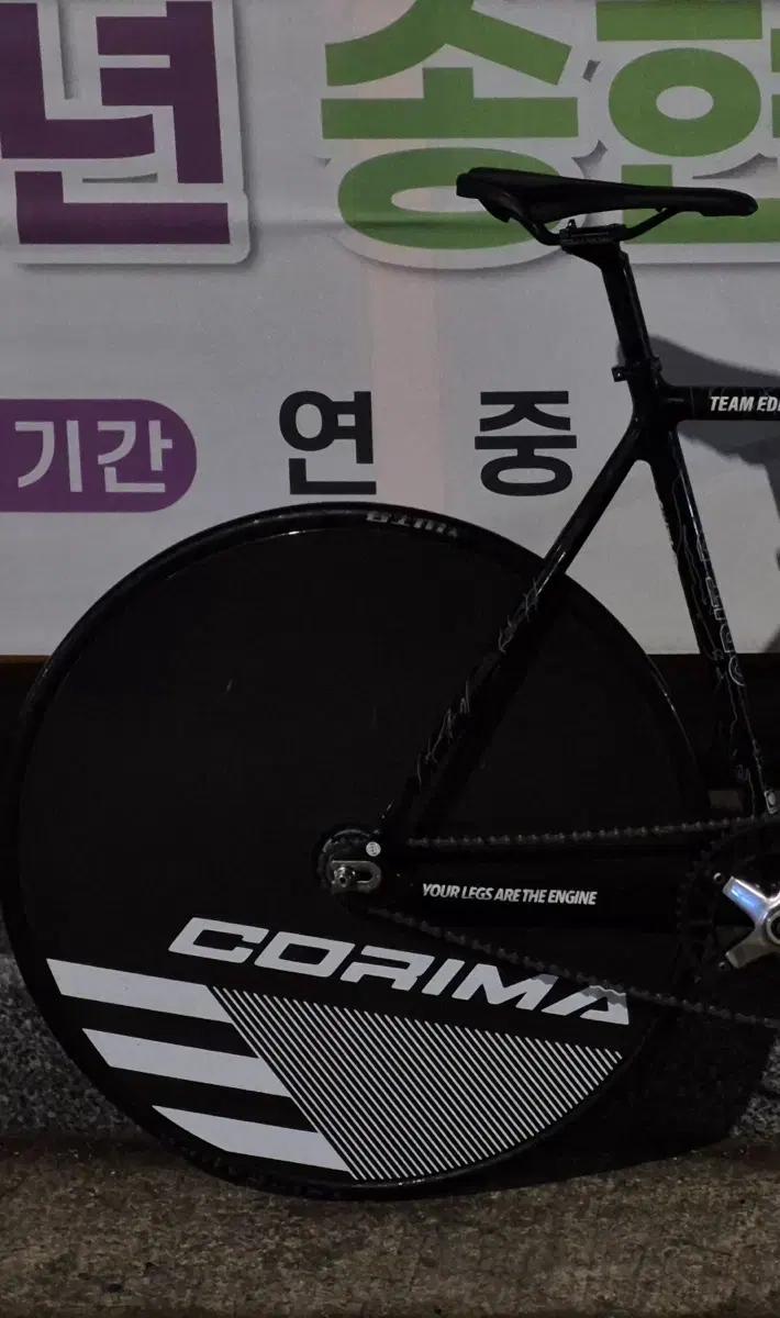 진바이크 코리마데칼 디스크휠