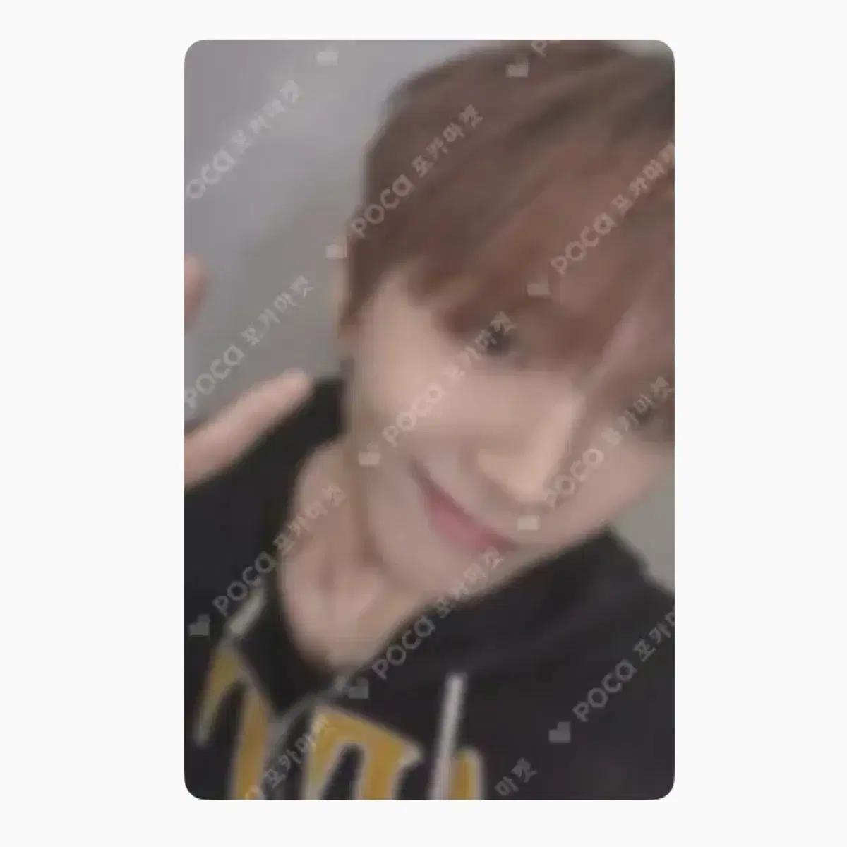 태산성호운학리우) 보넥도 스페셜 기프트 분철 4사