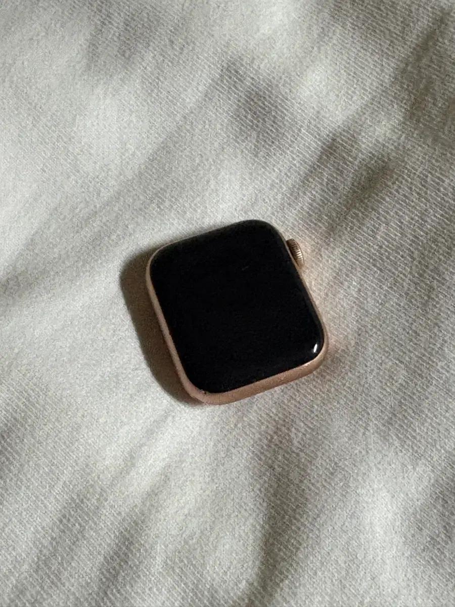 급처) 애플워치 se