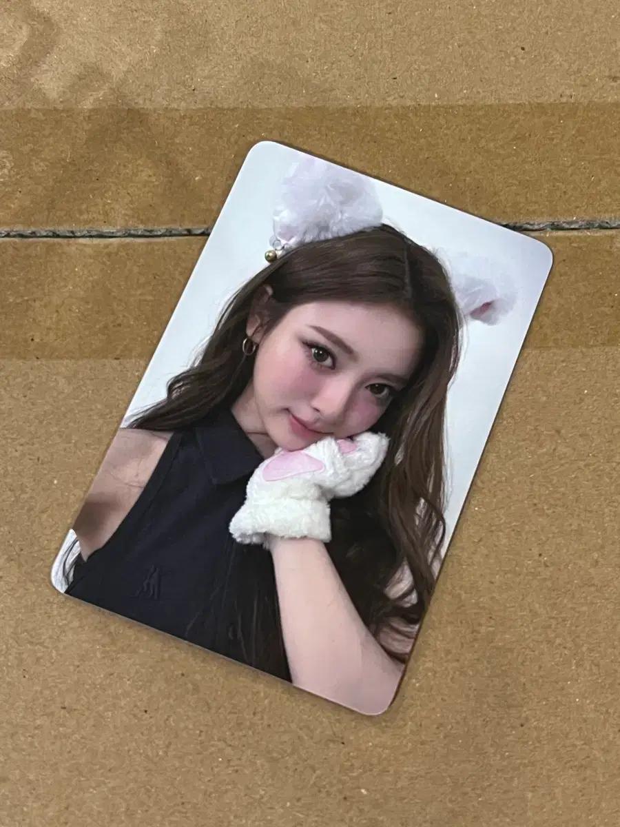 미야오 안나 에버라인 럭드 럭키드로우 고양이 포카