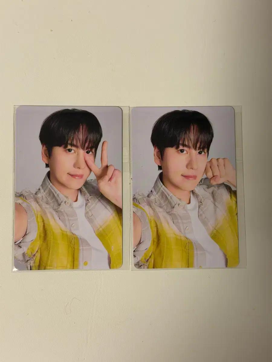 슈퍼주니어 슈주 규현 ss10 재팬 코알라마치 과자 포카 양도