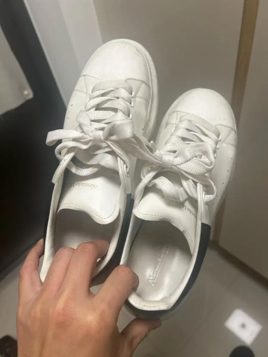 맥퀸 라이톤 265 각각 30만