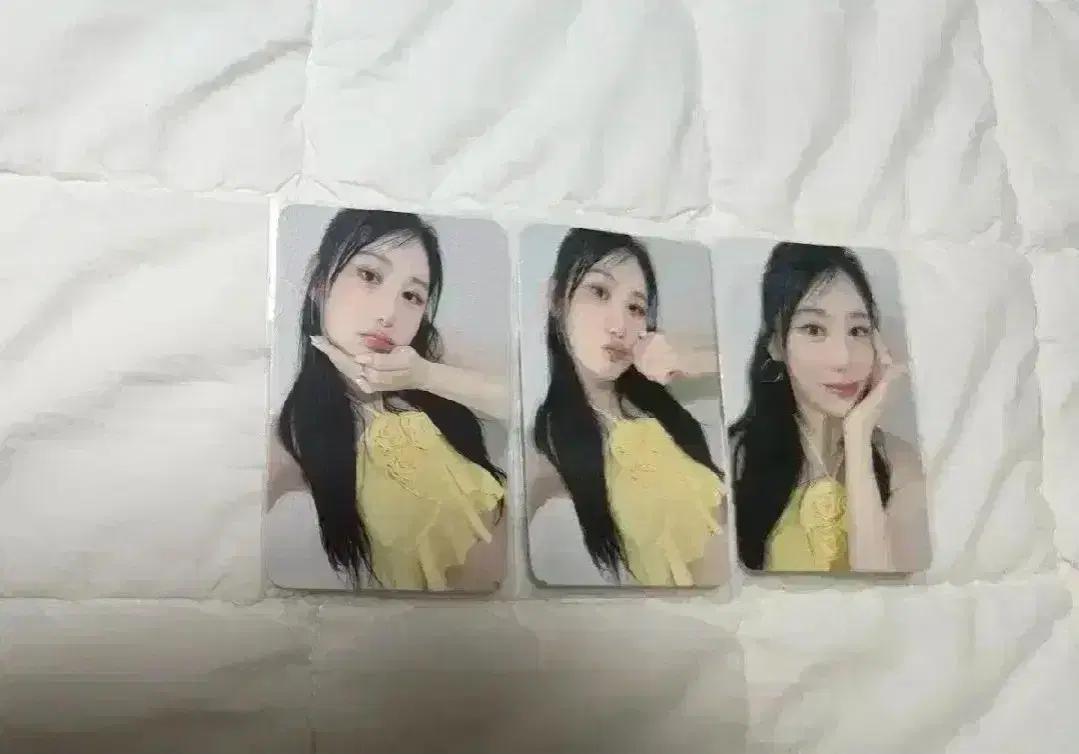 이채연 showdown 대면팬싸 - 디어마이뮤즈 특전 포카