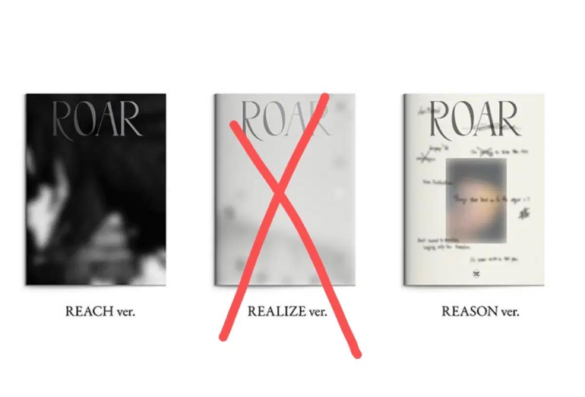 ROAR 포토북 REACH/REASON 버전 (개봉)