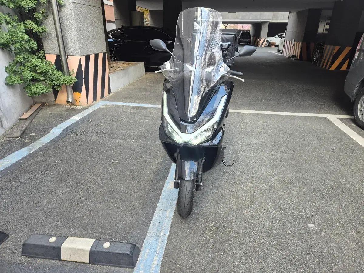 2025 PCX 125 신형 모델