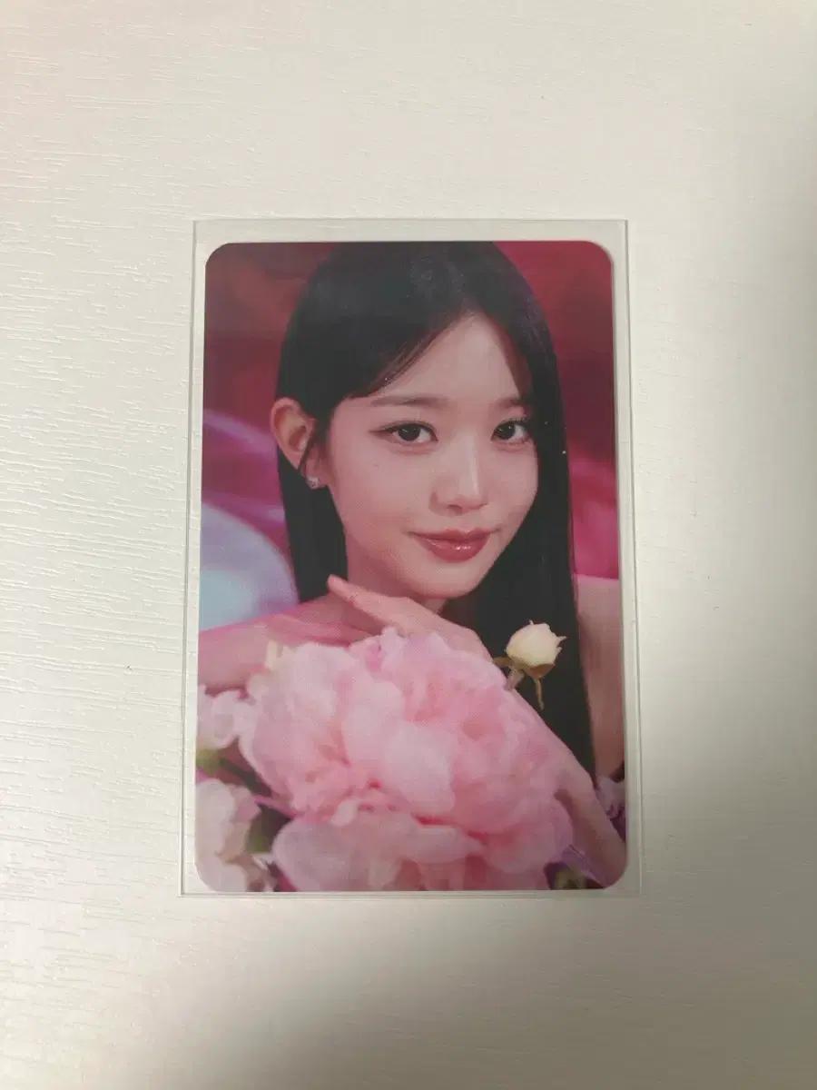 아이브 콘서트 포카팩 원영 포카 양도합니다