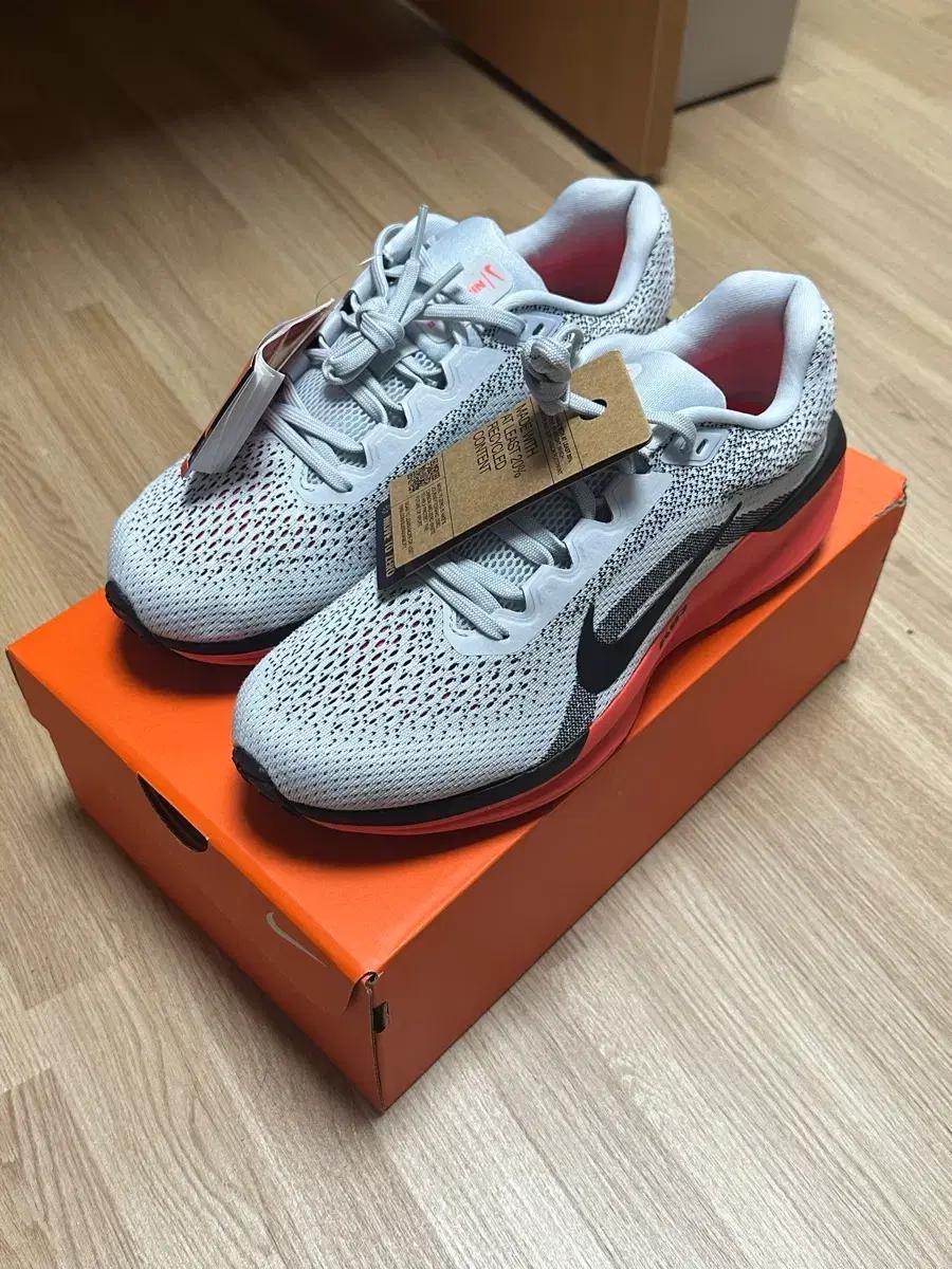 나이키 윈플로11 260mm