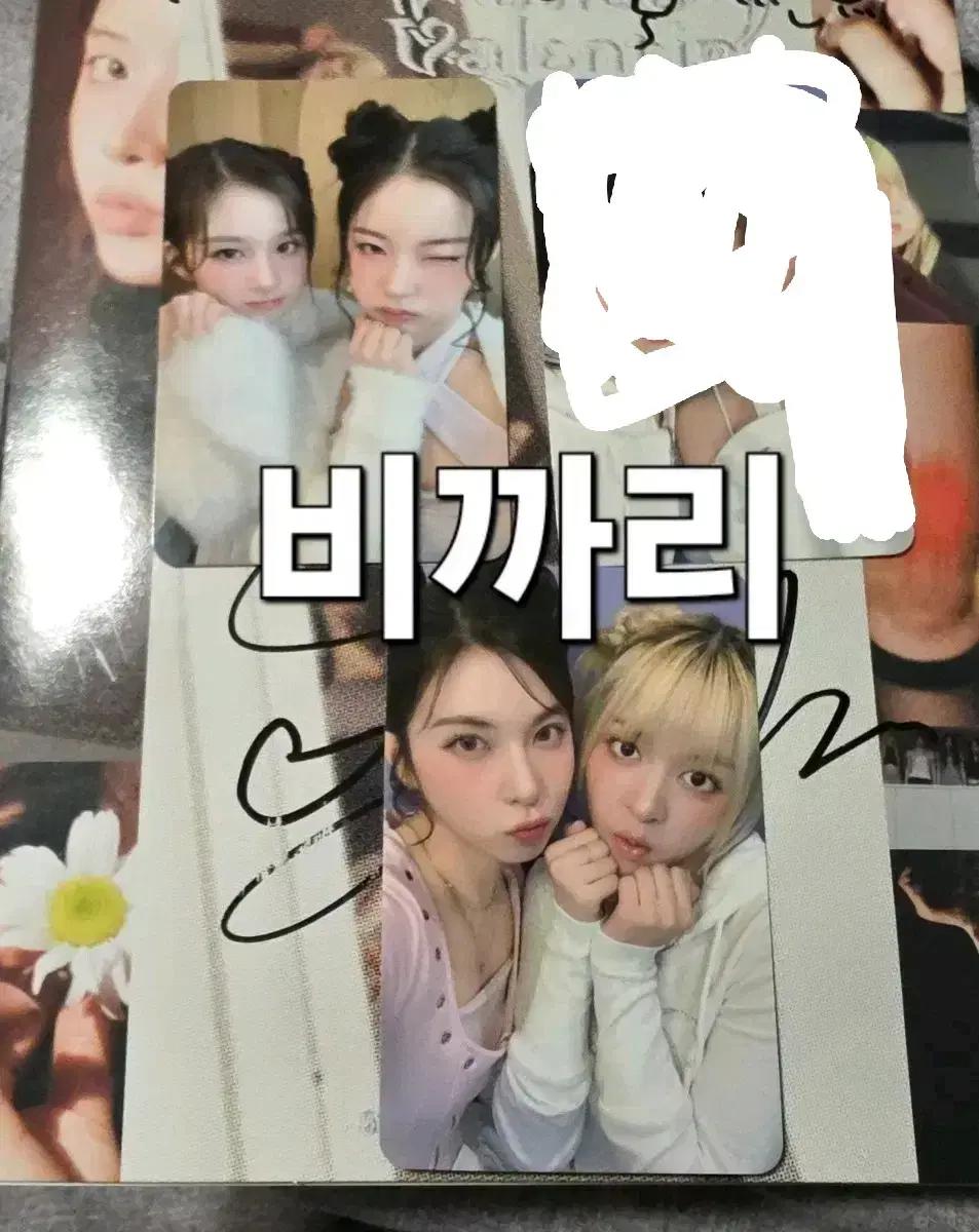 엔믹스 뿌까유닛 11.16 메이크스타당첨자 개당3.0