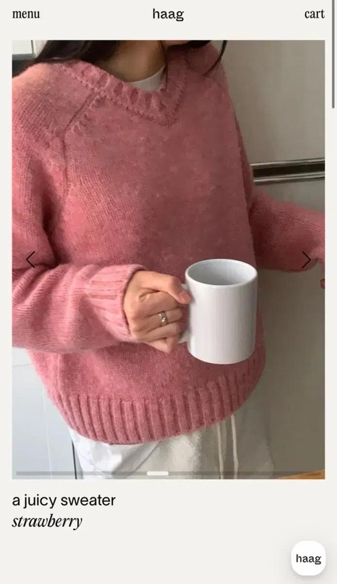 [haag] a juicy sweater