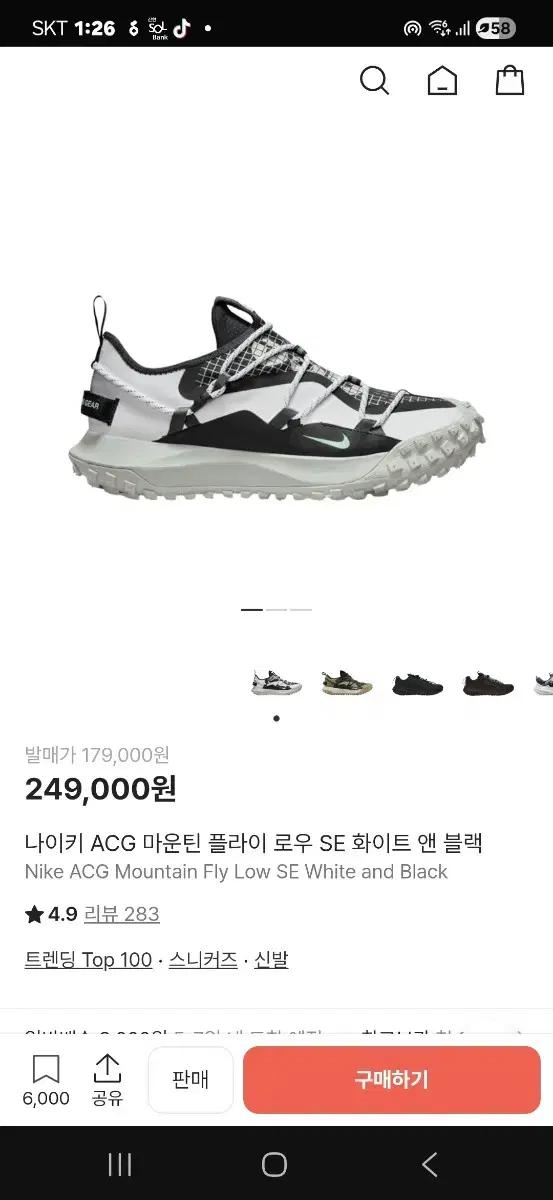 나이키 ACG 마운틴 플라이 로우 SE