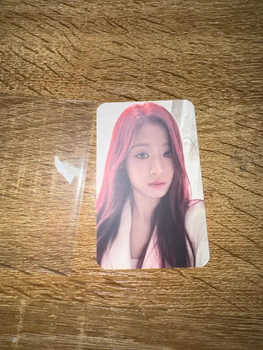 베이비몬스터 forever 포에버 공방 아현 포카