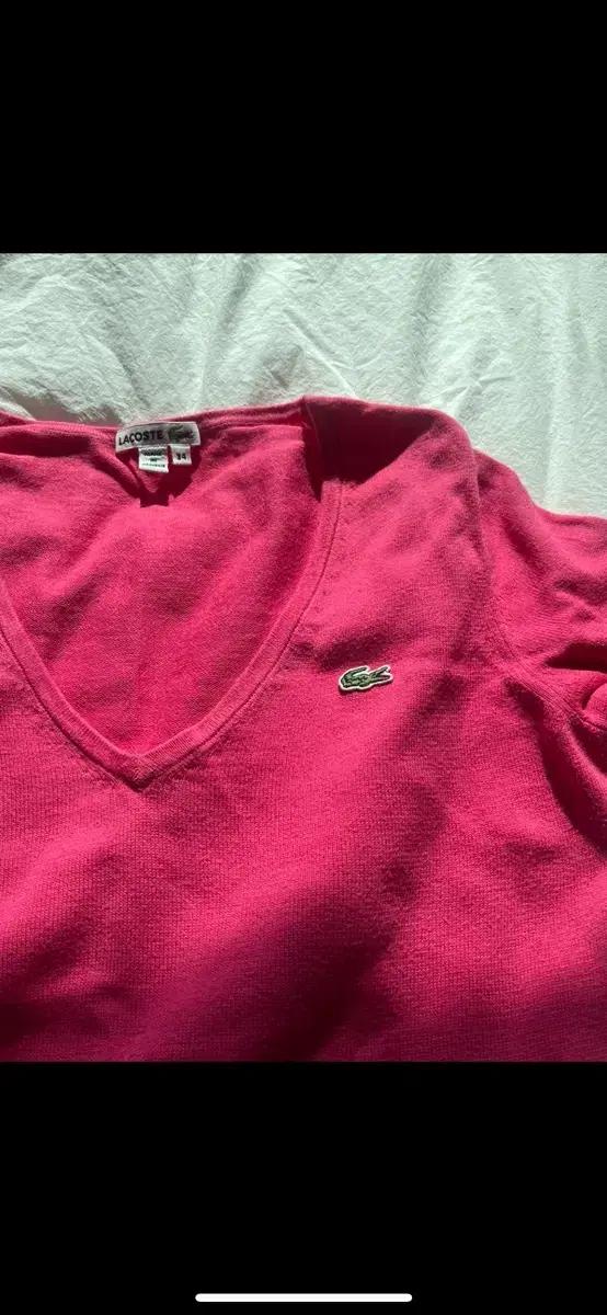 라코스테 브이넥 코튼 니트 핑크 폴로