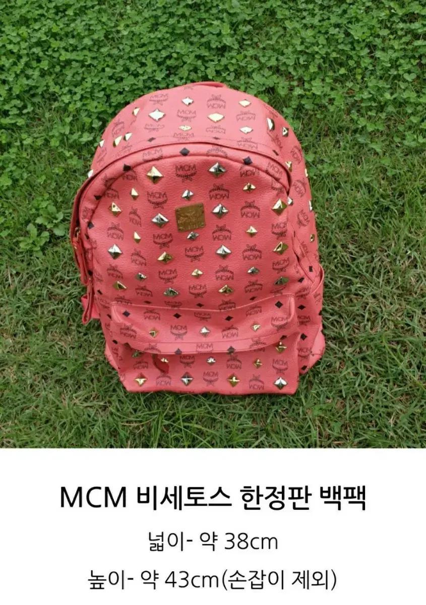 mcm백팩(한정판)