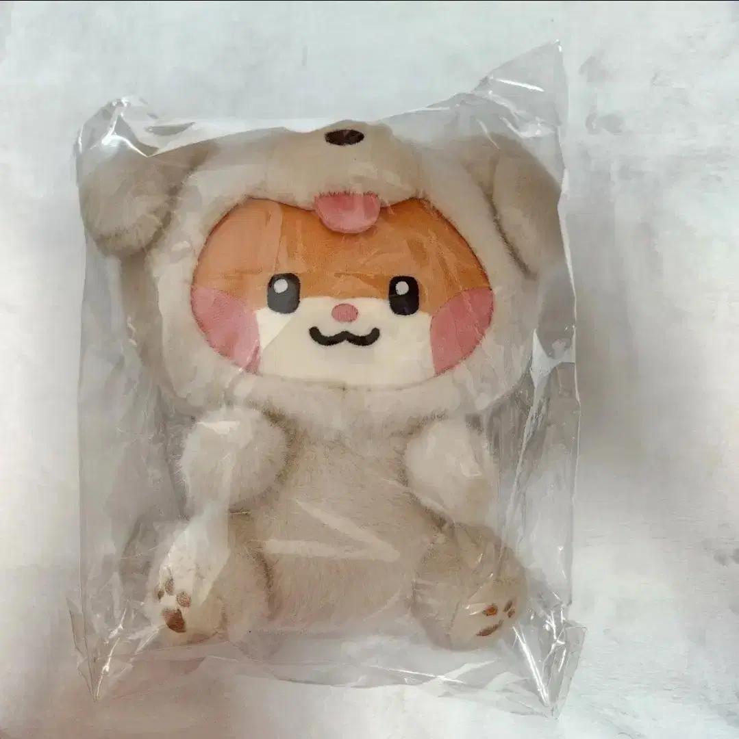 제베원 제로니 팝업 중형인형 비니니 성한빈