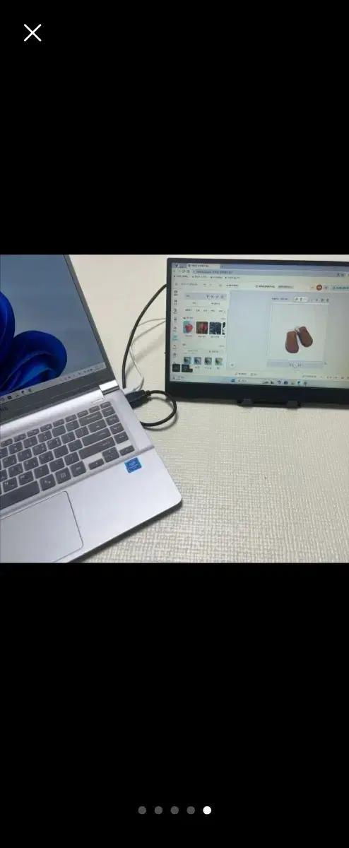 휴대용 모니터 (Portable Monitor)