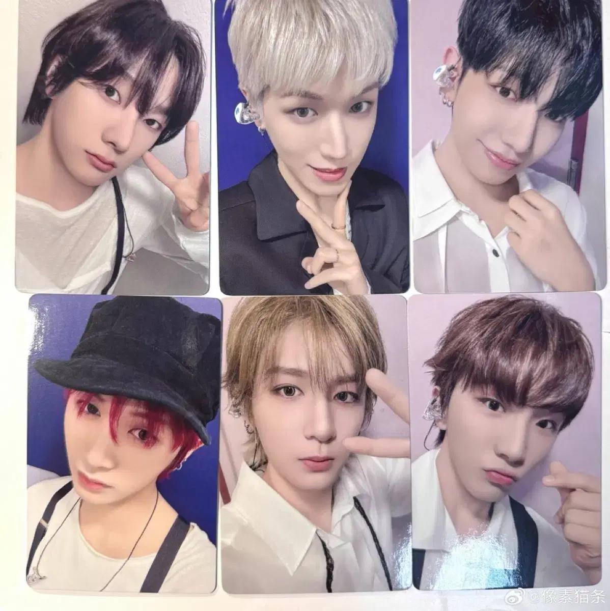 보이넥스트도어 보넥도 이즈위 베이징 분철 양도 성호리우재현태산이한운학